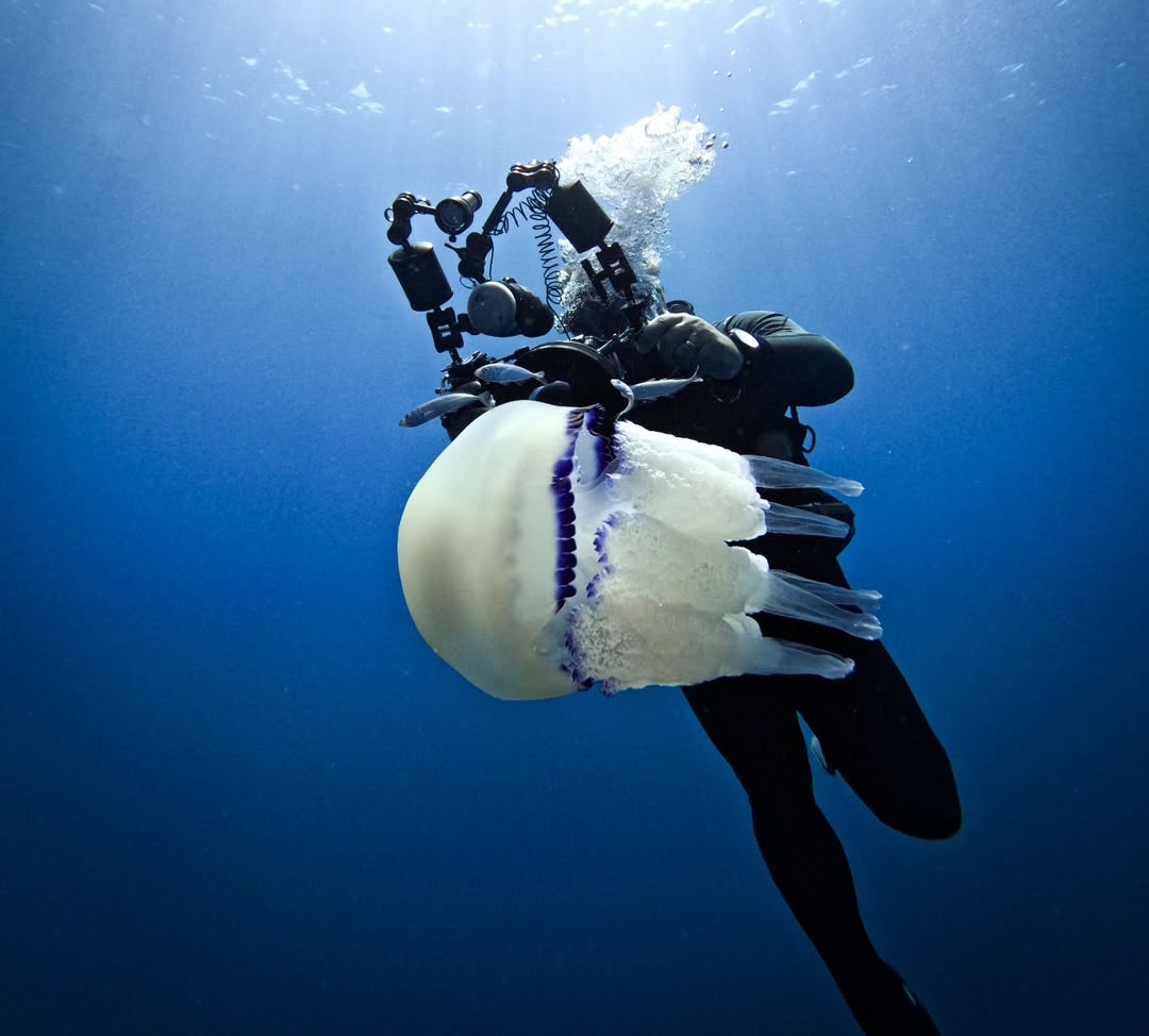 Diving Montenegro Team