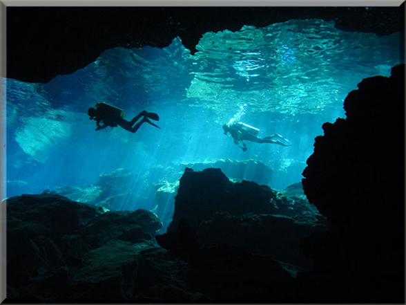 Tunnels & Cove Mogren